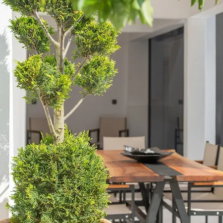 Alexandrion Appartments Down Town Adults Only Aparthotel Sarti