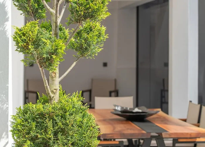 Alexandrion Appartments Down Town Adults Only Appart hôtel Sarti